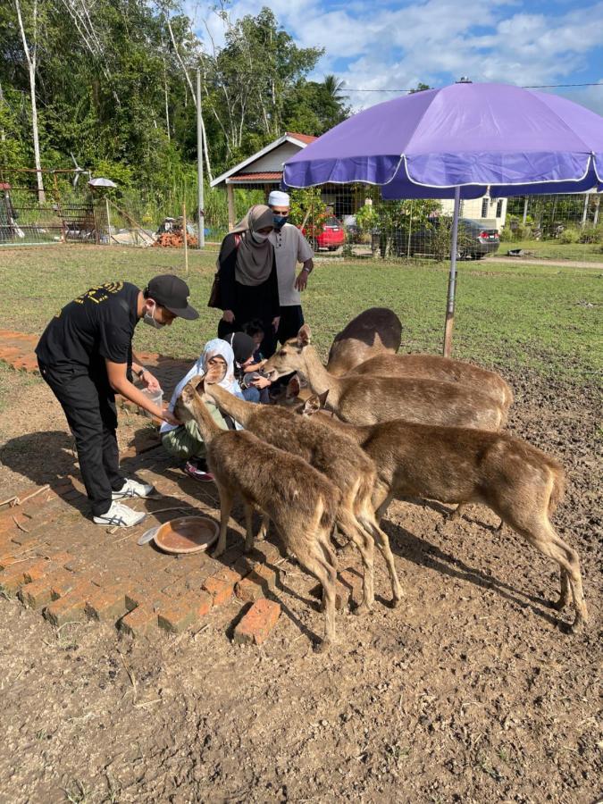 Branda Kampung Sumpitan Lenggong Tiada Sungai Hotel Kampong Ulu Jepai Екстериор снимка
