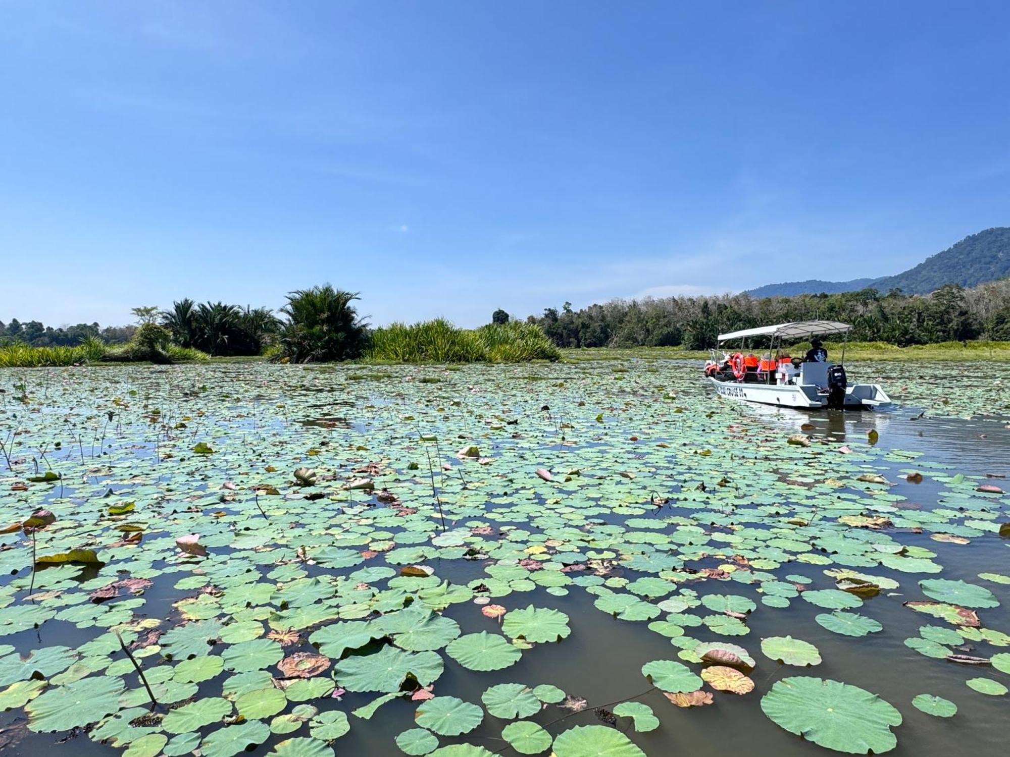 Branda Kampung Sumpitan Lenggong Tiada Sungai Hotel Kampong Ulu Jepai Екстериор снимка
